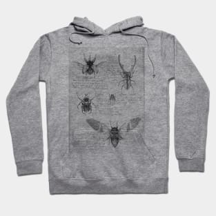 Insects Hoodie